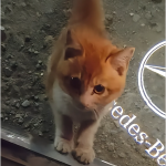 Forest森霖的头像-考研栈