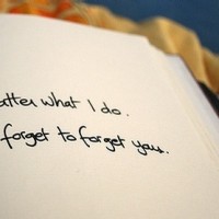 Panda熊猫侠的头像-考研栈