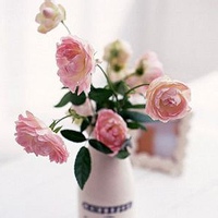 糯叽叽星的头像-MineMod方块工坊