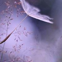 天穹低语的头像-考研栈