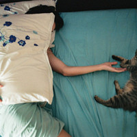 月影流光的头像-MineMod方块工坊