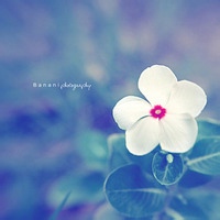 LordOfTheFries的头像-考研栈