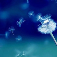 狐仙娘子的头像-考研栈