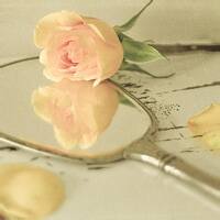 影蚀之瞳的头像-方块工坊