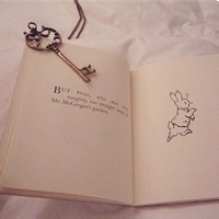 清风扬的头像-MineMod方块工坊