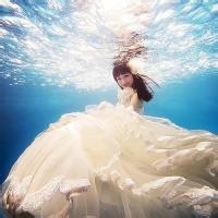 梦影浮光的头像-考研栈