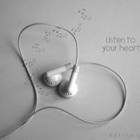 毛球猫-方块工坊