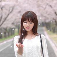 BlitzenBreeze的头像-方块工坊