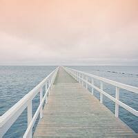 蹦蹦跳跳的薯片-方块工坊