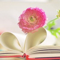 狂妄之徒的头像-考研栈