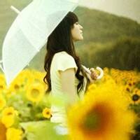 野草莓的头像-方块工坊