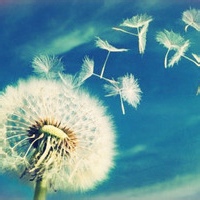 CelestiaHaze的头像-考研栈