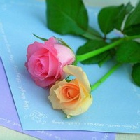 胭脂红妆的头像-考研栈