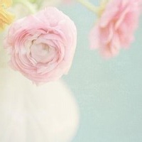 可可的头像-考研栈