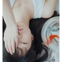 数字回声的头像-MineMod方块工坊