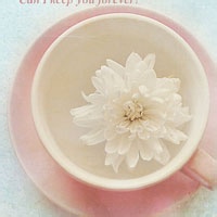 秋纹扫红的头像-考研栈