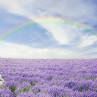 西窗烛影的头像-MineMod方块工坊