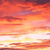 风语森林的头像-考研栈