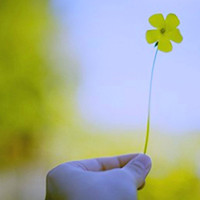 布偶猫崽崽的头像-考研栈