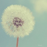 毽子踢踢乐的头像-考研栈