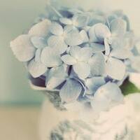 夜露孤魂的头像-方块工坊