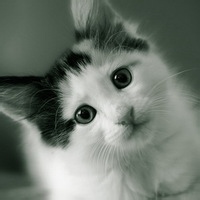 星空歌的头像-考研栈