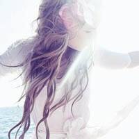 LogicPulse-方块工坊