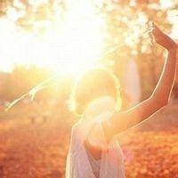 喵了个咪-方块工坊