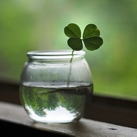 玄武镇渊的头像-考研栈